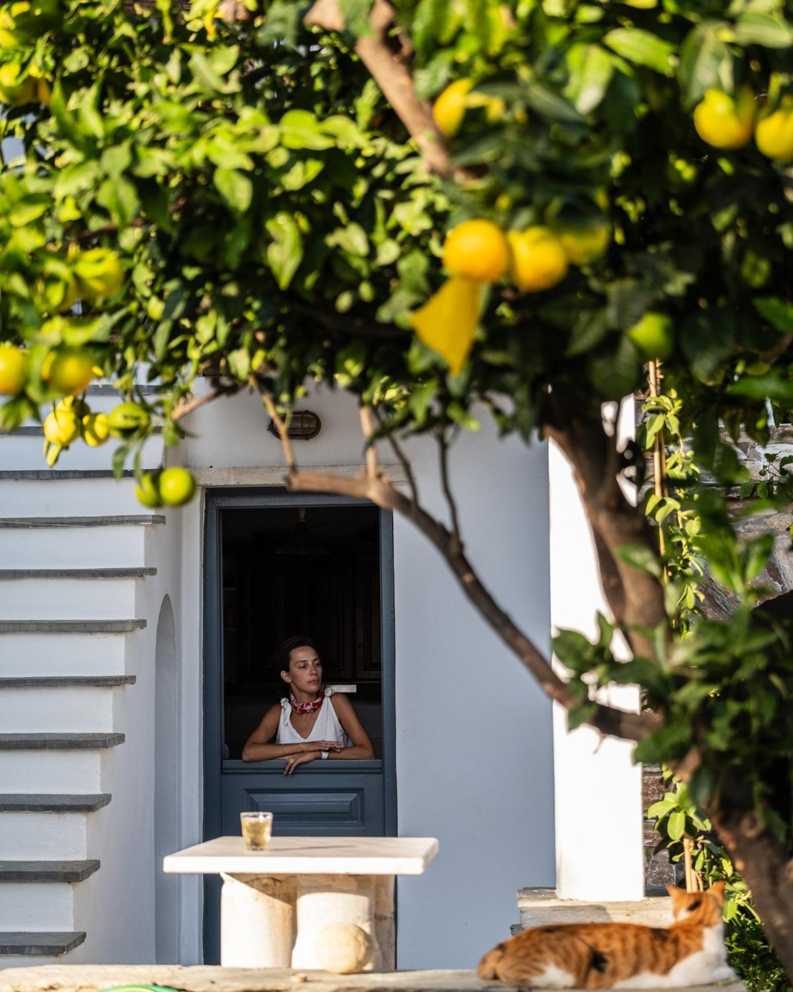 Romano Garden House - Land Tales Agios Romanos Экстерьер фото